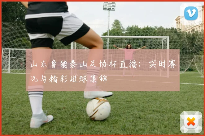 山东鲁能泰山足协杯直播：实时赛况与精彩进球集锦